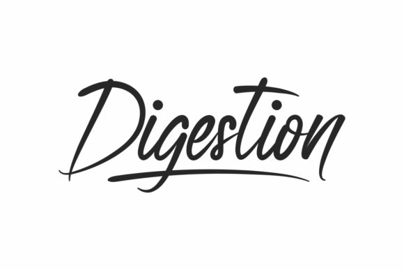 Digestion Brush Hand Lettering Font for Crafts