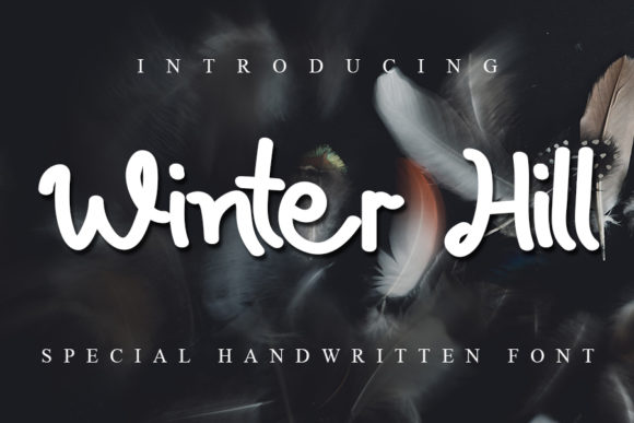 Winter Hill Typeface Review for Modern Web Layouts